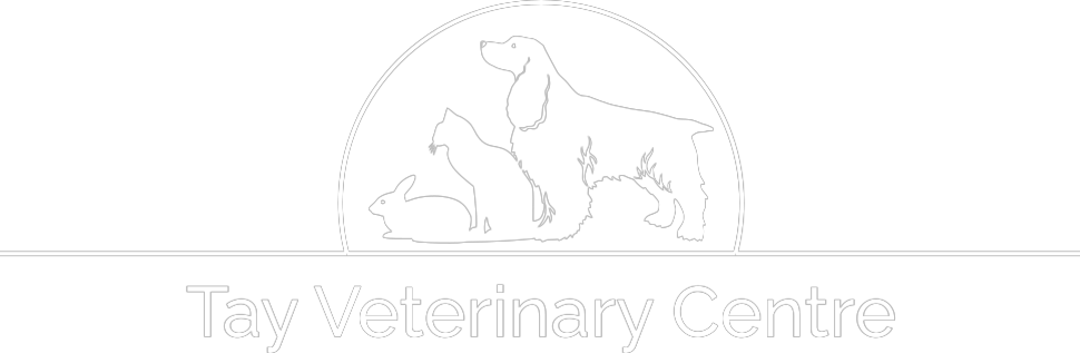 Tay Veterinary Centre Logo – white Tay Veterinary Centre Logo - white